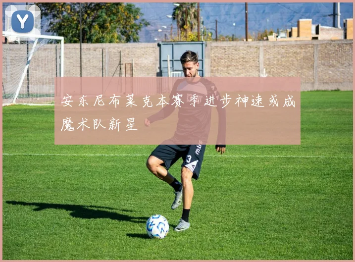 安东尼布莱克本赛季进步神速或成魔术队新星