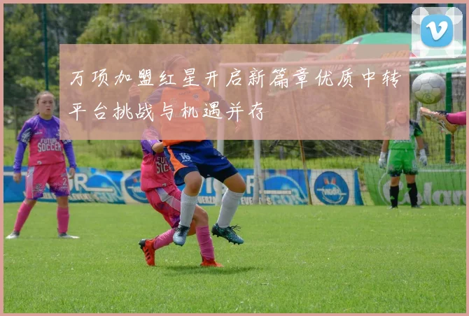 万项加盟红星开启新篇章优质中转平台挑战与机遇并存