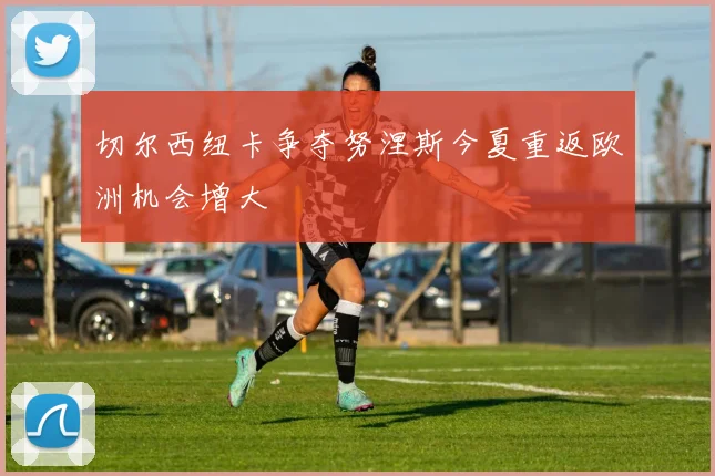 切尔西纽卡争夺努涅斯今夏重返欧洲机会增大