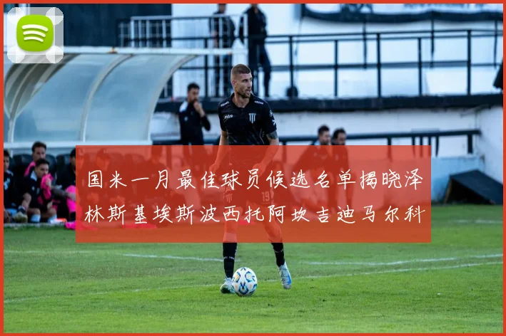 国米一月最佳球员候选名单揭晓泽林斯基埃斯波西托阿坎吉迪马尔科争夺荣誉